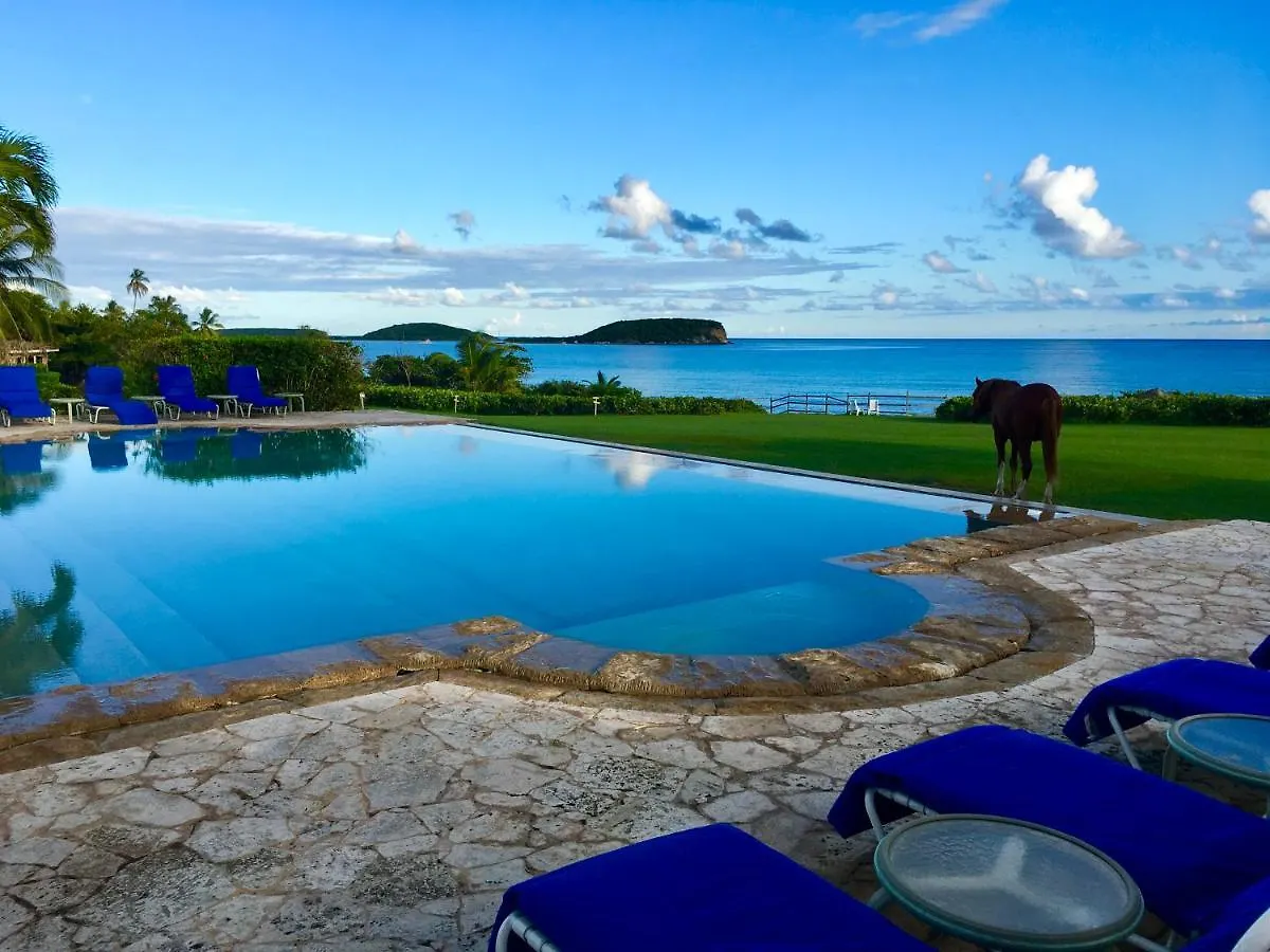 Hotel Blue Horizon Boutique Resort (Adults Only) Vieques